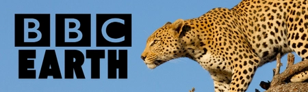 BBC Earth